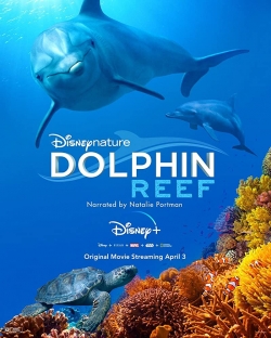 Watch Dolphin Reef Movies for Free