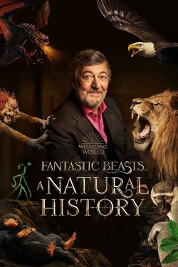 Watch Fantastic Beasts: A Natural History Movies for Free