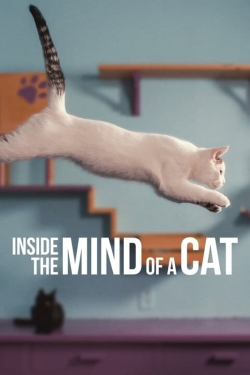Watch Inside the Mind of a Cat Movies for Free