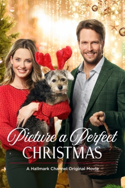 Watch Picture a Perfect Christmas Movies for Free