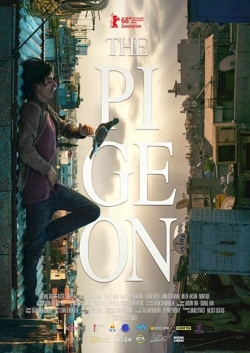 Watch The Pigeon Movies for Free