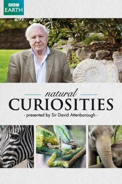 Watch David Attenborough's Natural Curiosities Movies for Free