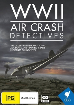 Watch WWII Air Crash Detectives Movies for Free