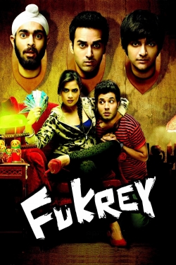 Watch Fukrey Movies for Free