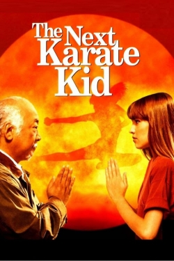 Watch The Next Karate Kid Movies for Free