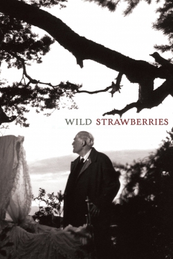 Watch Wild Strawberries Movies for Free