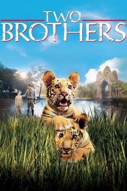Watch Two Brothers Movies for Free
