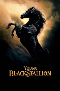 Watch Young Black Stallion Movies for Free