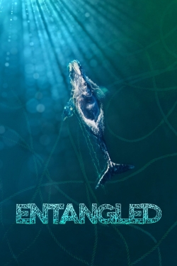 Watch Entangled: The Race to Save Right Whales from Extinction Movies for Free