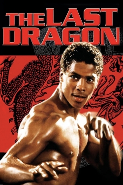 Watch The Last Dragon Movies for Free