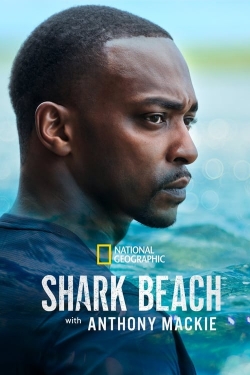 Watch Shark Beach with Anthony Mackie Movies for Free