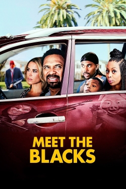 Watch Meet the Blacks Movies for Free