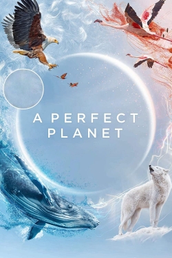 Watch A Perfect Planet Movies for Free