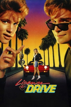 Watch License to Drive Movies for Free
