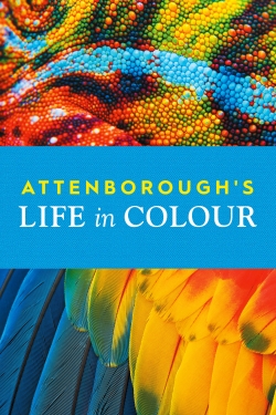 Watch Attenborough's Life in Colour Movies for Free