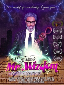 Watch The Mysterious Mr. Wizdom Movies for Free