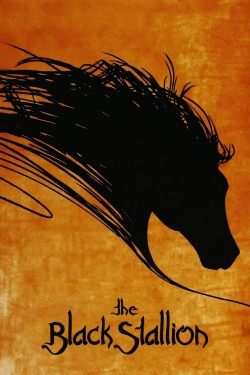 Watch The Black Stallion Movies for Free