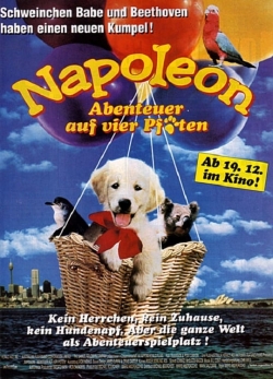 Watch Napoleon Movies for Free