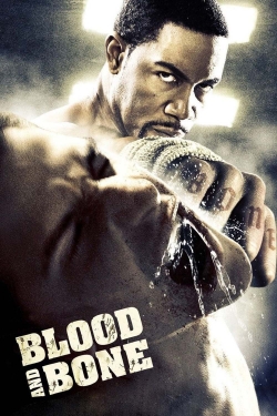 Watch Blood and Bone Movies for Free
