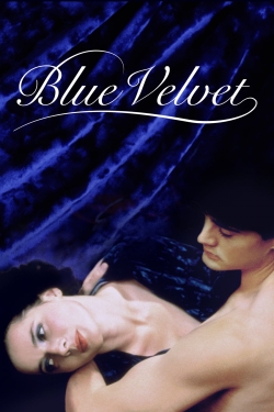 Watch Blue Velvet Movies for Free
