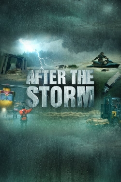 Watch After the Storm Movies for Free
