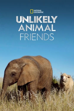 Watch Unlikely Animal Friends Movies for Free