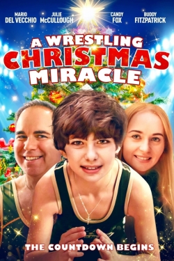 Watch A Wrestling Christmas Miracle Movies for Free