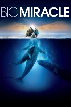 Watch Big Miracle Movies for Free