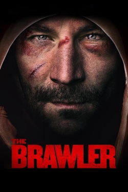 Watch The Brawler Movies for Free