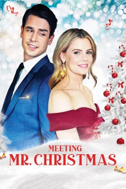 Watch Meeting Mr. Christmas Movies for Free