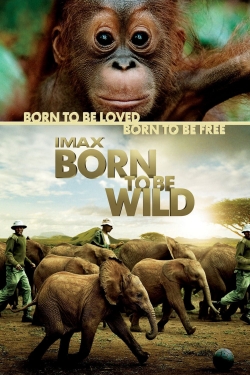 Watch Born to Be Wild Movies for Free