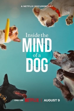 Watch Inside the Mind of a Dog Movies for Free