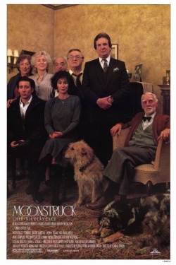 Watch Moonstruck Movies for Free