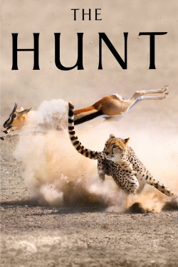 Watch The Hunt Movies for Free