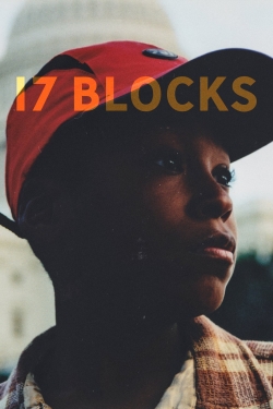 Watch 17 Blocks Movies for Free