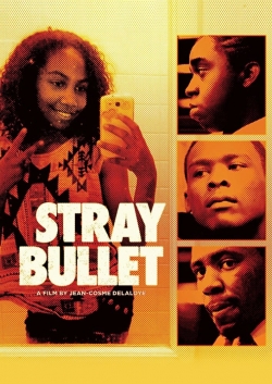 Watch Stray Bullet Movies for Free