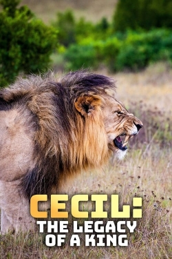 Watch Cecil: The Legacy of a King Movies for Free