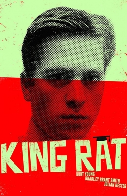 Watch King Rat Movies for Free