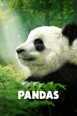 Watch Pandas Movies for Free
