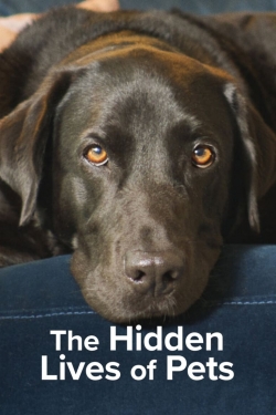 Watch The Hidden Lives of Pets Movies for Free