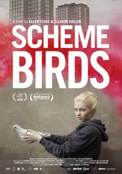 Watch Scheme Birds Movies for Free