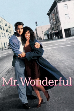 Watch Mr. Wonderful Movies for Free