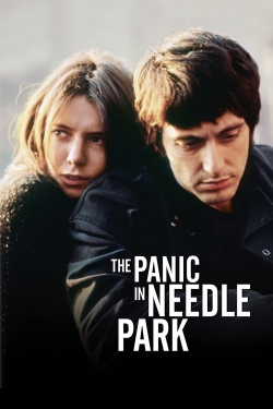 Watch The Panic in Needle Park Movies for Free