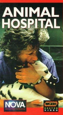 Watch Animal Hospital Movies for Free