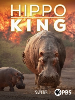 Watch Hippo King Movies for Free