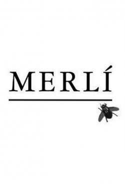 Watch Merlí Movies for Free