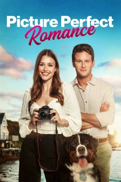 Watch Picture Perfect Romance Movies for Free