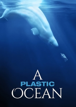 Watch A Plastic Ocean Movies for Free