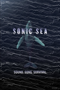 Watch Sonic Sea Movies for Free
