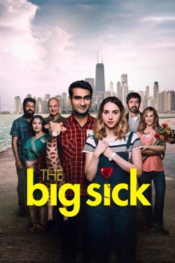 Watch The Big Sick Movies for Free